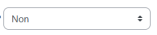 Montrer le texte de la question dans la liste des questions ?